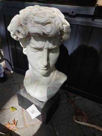David  Bust 1