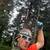 Tree cutting and tree service 1 thumbnail