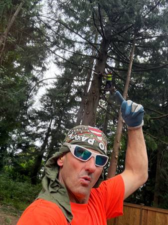 Tree cutting and tree service 1
