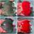 Live Freshwater Fish Discus, Guppy, Molly, Parrot, Flowerhornn, Shri 6 thumbnail