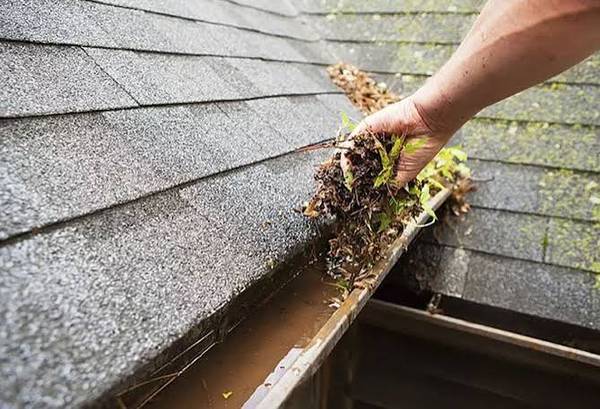 Gutter Cleaning 1