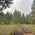 #5 Mountain Lakes Drive ~ 1.11 Acres ~ Commercial ~ Fronts HWY 140 4 thumbnail