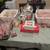 Multi Family Yard Sale 10 thumbnail