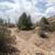 Duchesne, Utah Land for Sale 6 thumbnail