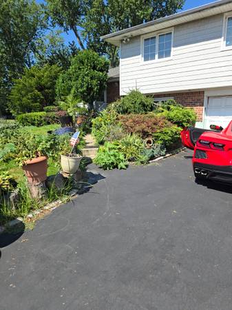 house share female w female beautiful furnished safe everything includ 1