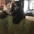 8 year old retired munchkin momma cat 2 thumbnail