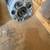2015-2017 Ford F150 FX4 Front Struts/shocks 3 thumbnail