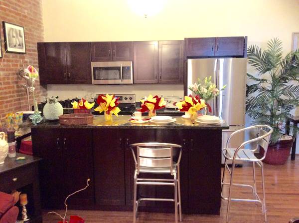 $1675.00 / 1br - 790ft2 - DOWNTOWN BALTIMORE BROMO SELTZER INNER HARBOR UMD63694910237569121