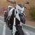 2016 Ducati 939 Hyperstrada / Hypermotard Duke 890 9 thumbnail