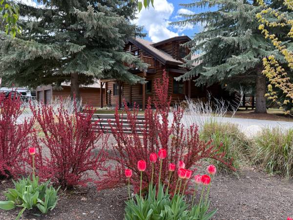 $5,950 / 3br - 1800ft2 - Stylish Log House in great neighbohood (Hailey)63922556957827120