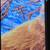 Throw Blanket, 62"x50", Fox design 3 thumbnail