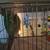Bird cage and bird 2 thumbnail