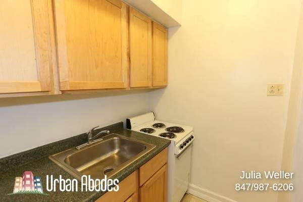 $1,350 / 400ft2 - $300 OFF FIRST MONTH'S RENT! Lavish Studio, 1 Bath in Lincoln Park (Lincoln Park)64041475510019124