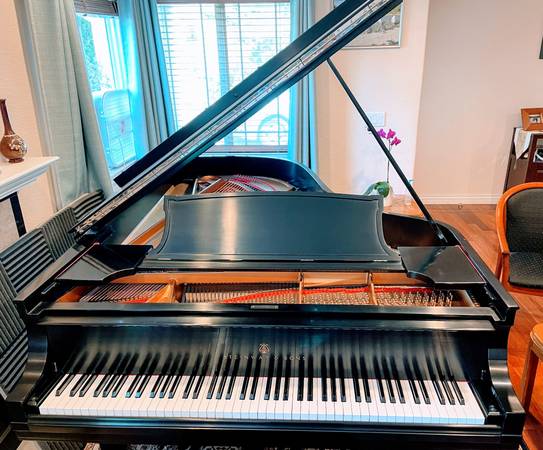 STEINWAY B 65% OFF RETAIL! GORGEOUS SOUND AND TOUCH 1