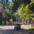 beautiful 2BR apt. High Park Blvd. Nov. 1st 21 thumbnail