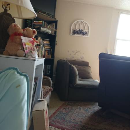 Moving sale - $250 (Dothan)63440349889283121