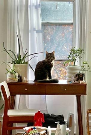 Desk / entryway table 1