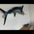 WTB.........whitemarlin 8 thumbnail