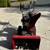 Toro Snow Blower 5 thumbnail