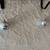 Mini hanging disco ball ornament 2 thumbnail