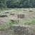 Square bales 1 thumbnail