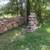 Tree Stumps / Firewood 2 thumbnail