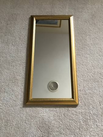 Rectangular Wall Mirror, Gold Framed, 10" x 20" 1