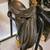 Courbette english jumping saddle 1 thumbnail