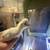 Polish chicks 1 thumbnail