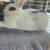 Rabbits 1 thumbnail