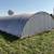ONLINE AUCTION - 22.87 Acres, Outbuildings & a Pond 11 thumbnail