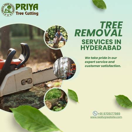 Tree Removal Services in Hyderabad | Priya Tree Cutting Services 1
