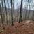 4+/- acres in Waynesville, Villages of Plott Creek 14 thumbnail