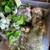 Misc Wedding / Reception / Party supplies 21 thumbnail