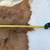Whitetail Deer Hide Tanned Fur Deerskin Buckskin 4 Different 11 thumbnail
