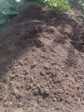 2 yr old rotted horse manure in sawdust 1