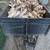 Tree services - tree removal-Bush hogging land clearing services 24 thumbnail