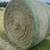 Bermuda Hay 3 thumbnail