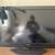 40inch TV 1 thumbnail