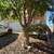 Nice town home 5 thumbnail