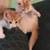 Free kittens 1 thumbnail