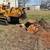 The Stump Guy~Stump Grinding/Stump Removal 7 thumbnail
