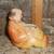 Vintage Porcelain Fat Man Sitting Pipe Holder 2 thumbnail