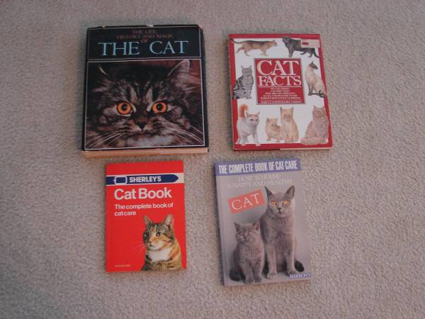 4 Cat Books 1