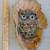 Hoot Owl Tree Carvings 5 thumbnail