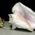 Conch Sea Shell Lamp 1 thumbnail