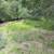 Little Uvas Road 21 acres, owner financing, water and five nice pads! 12 thumbnail