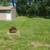 2 Bedroom 1 Bath Duplex for Rent 15 thumbnail