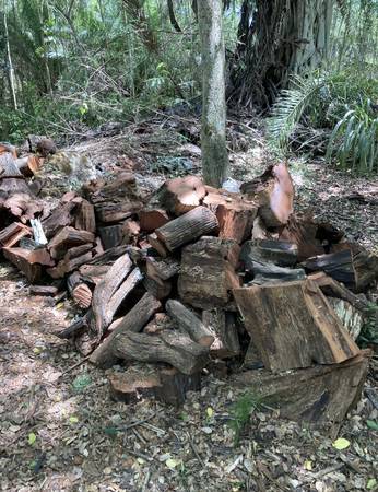 Kiawe Wood 1