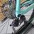 Bianchi Oltre XR4 57cm Shimano Ultegra Di2 12spd CV Aero 3 thumbnail
